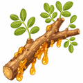 Boswellia resin