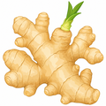 Ginger root