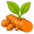 Turmeric root